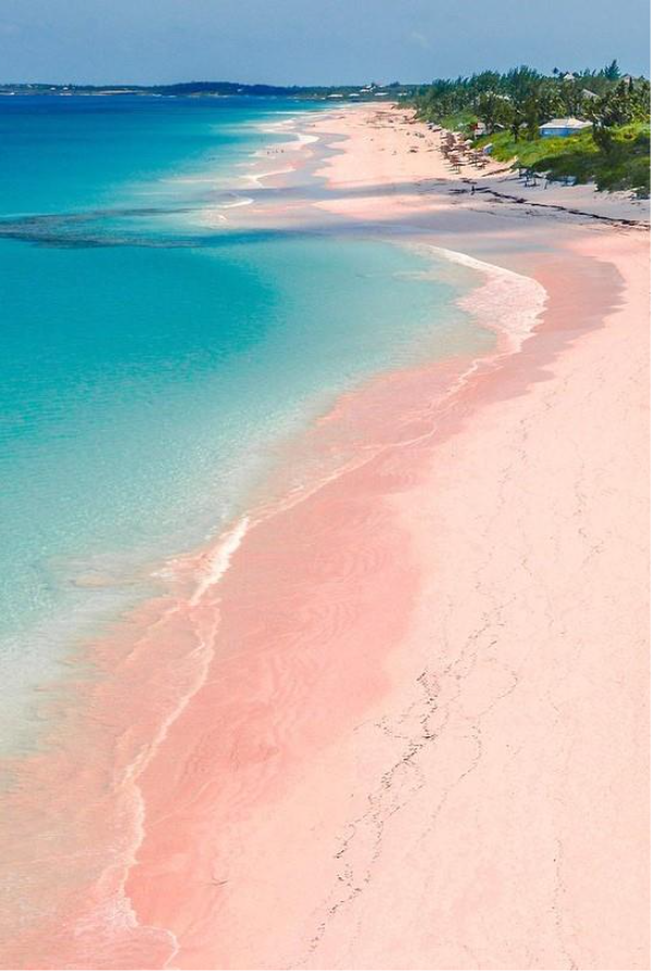 Secluded pink sand beach in the Bahamas, surrounded by calm turquoise waters and untouched natural beauty.